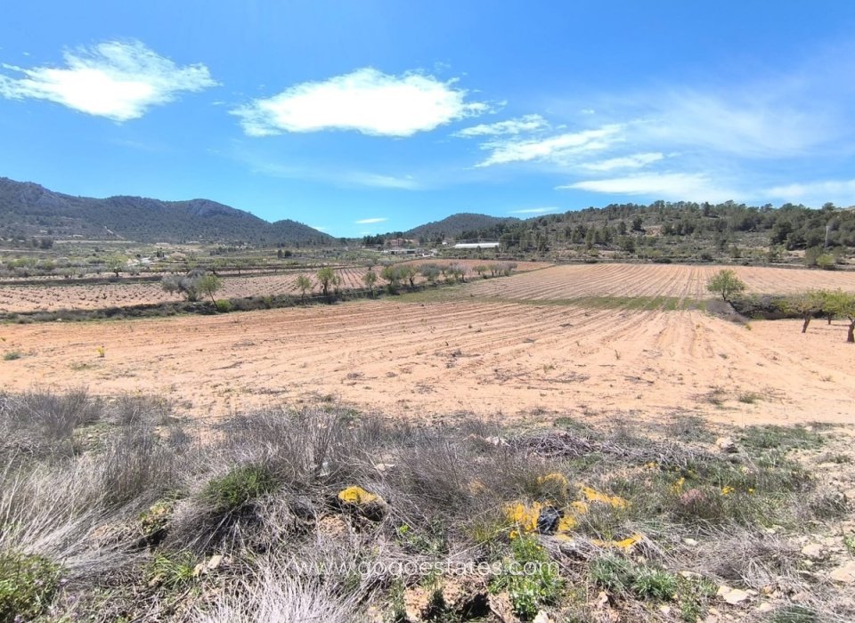 Venta - Parcela - Terreno - Jumilla - La Zarza
