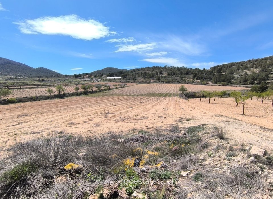 Venta - Parcela - Terreno - Jumilla - La Zarza