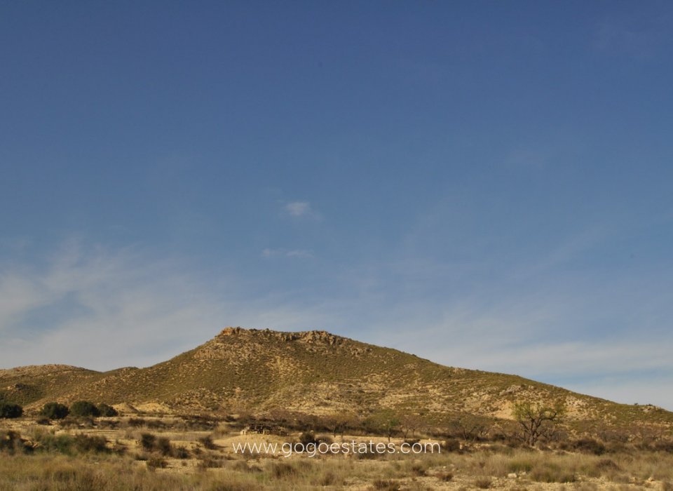 Venta - Parcela - Terreno - Jumilla - Torre del Rico