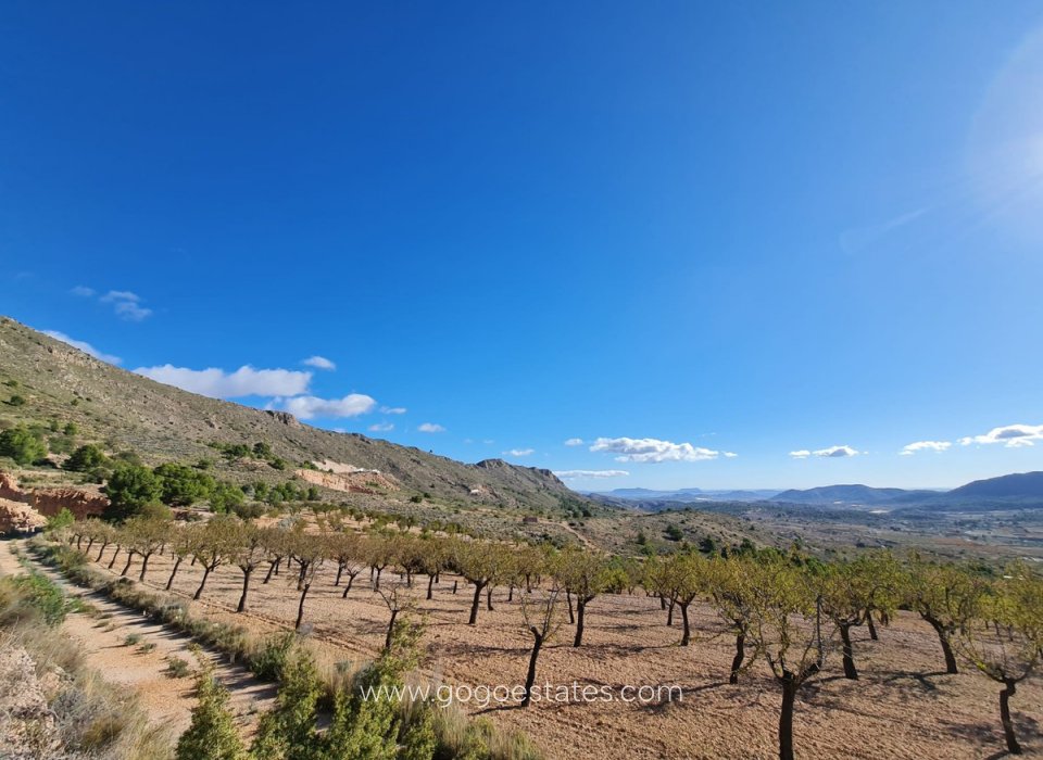 Venta - Parcela - Terreno - La Romana - La Romana Centro