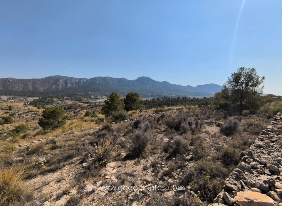 Venta - Parcela - Terreno - La Romana - La Romana Centro