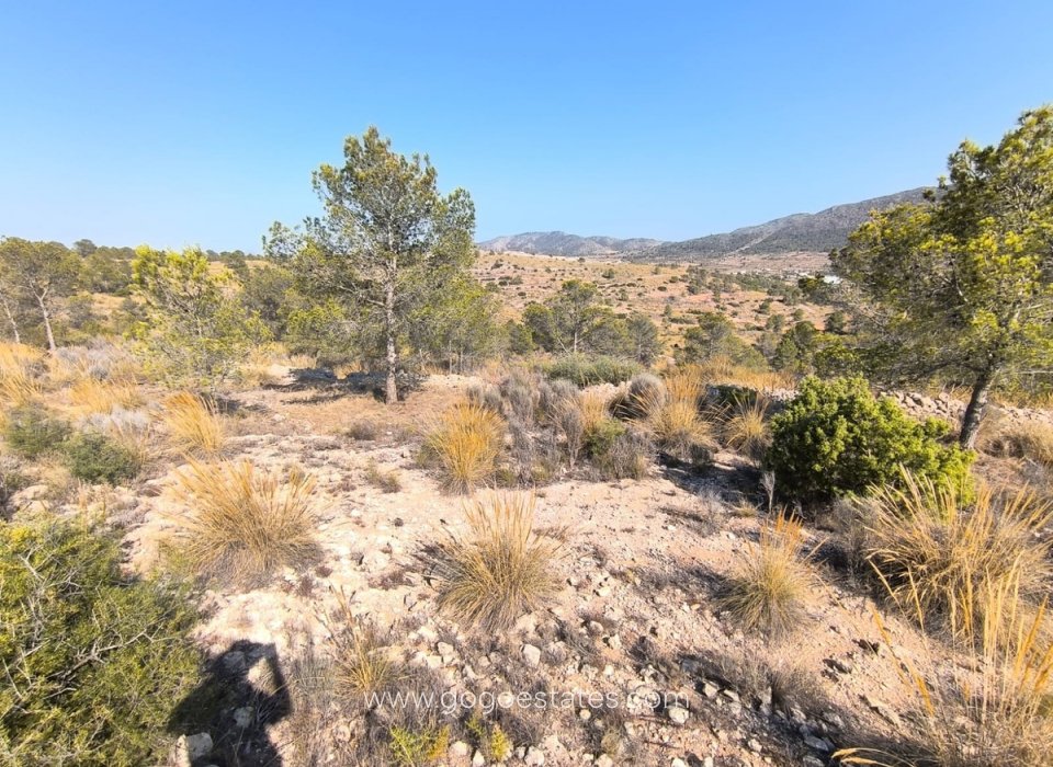 Venta - Parcela - Terreno - La Romana - La Romana Centro