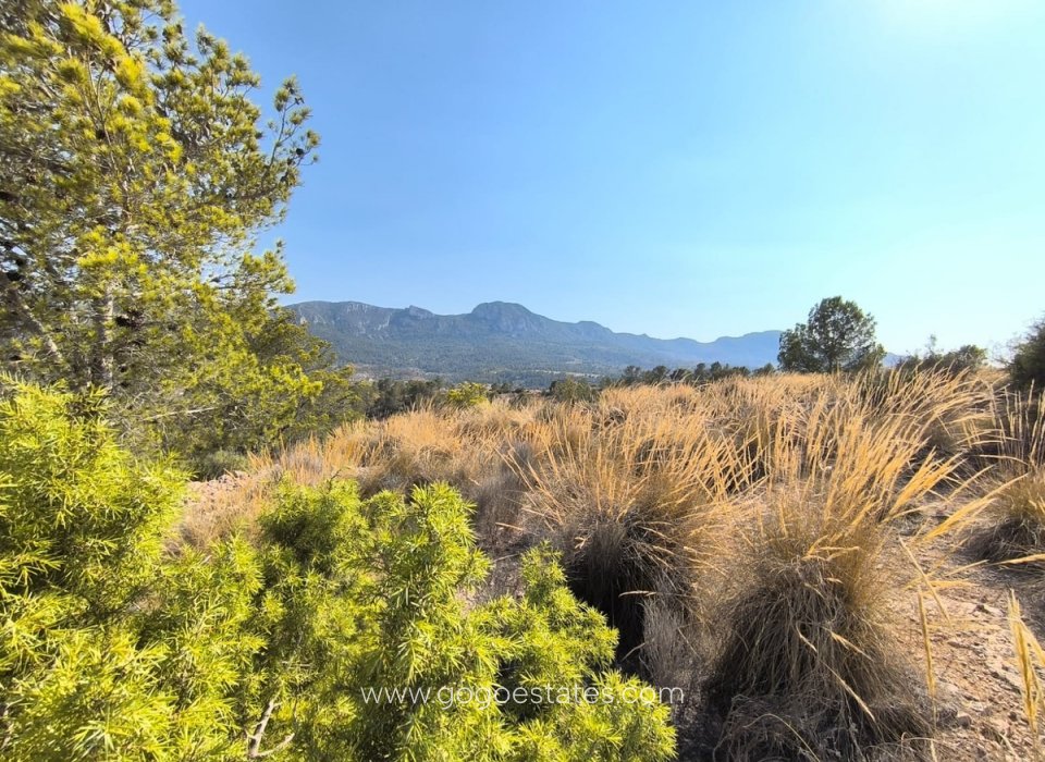 Venta - Parcela - Terreno - La Romana - La Romana Centro