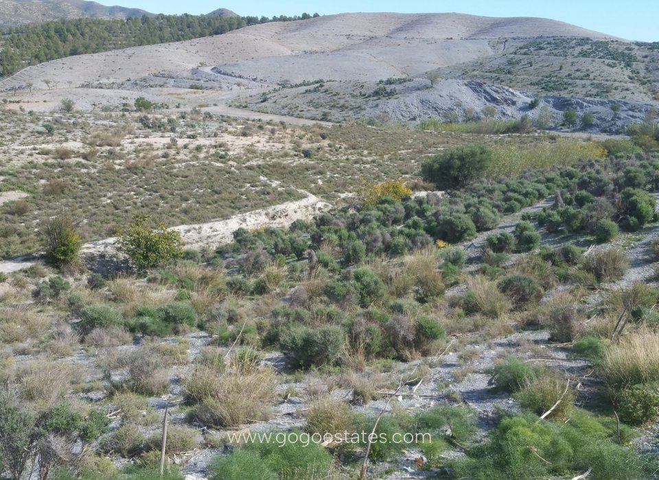 Venta - Parcela - Terreno - Lorca - Lorca Centro
