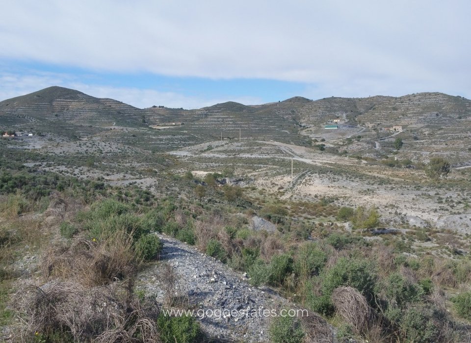 Venta - Parcela - Terreno - Lorca - Lorca Centro