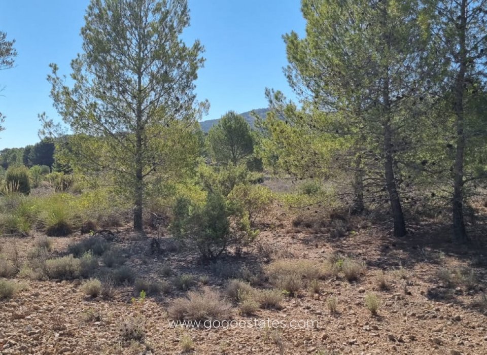 Venta - Parcela - Terreno - Monóvar - Monòver - Casas del Señor