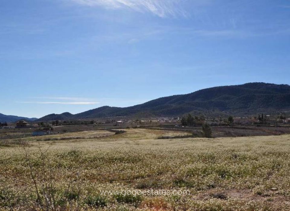 Venta - Parcela - Terreno - Monóvar - Monòver - Chinorlet