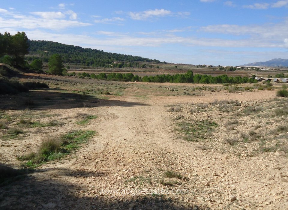 Venta - Parcela - Terreno - Monóvar - Monòver - Monóvar - Monòver Centro