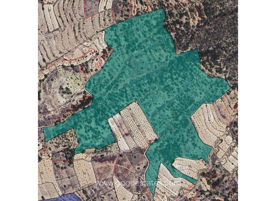 Venta - Parcela - Terreno - Monóvar - Monòver - Monóvar - Monòver Centro