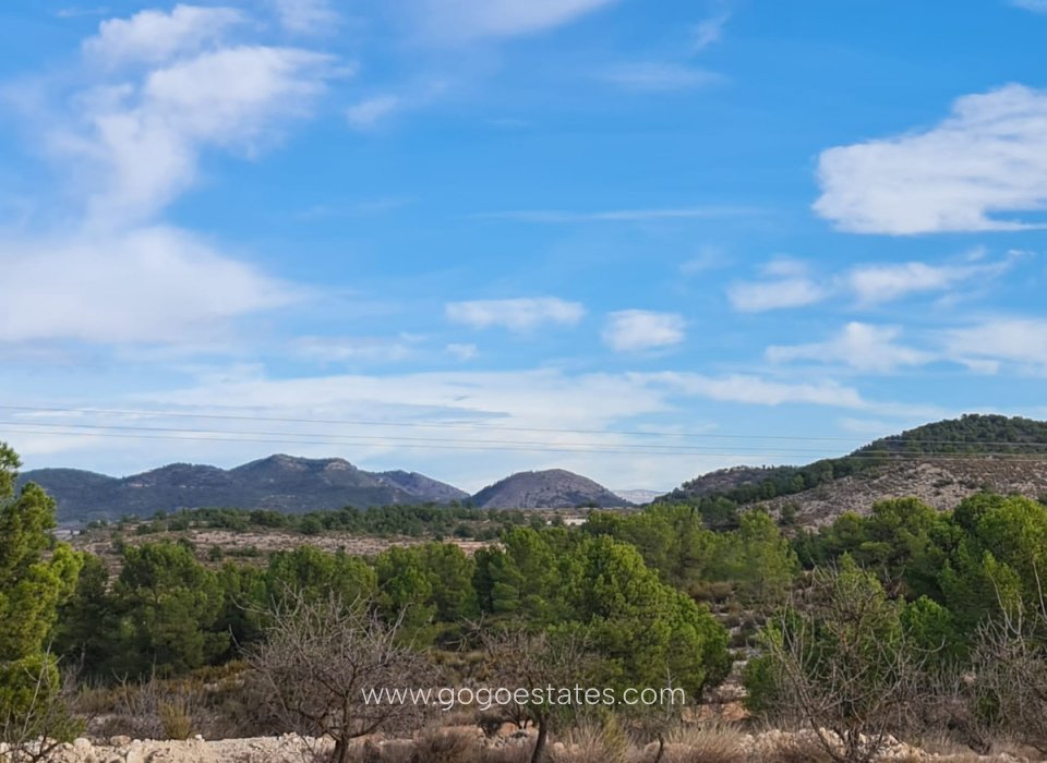 Venta - Parcela - Terreno - Monóvar - Monòver - Monóvar - Monòver Centro
