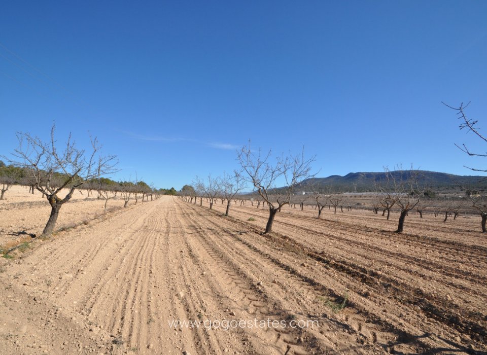 Venta - Parcela - Terreno - Monóvar - Monòver - Monóvar - Monòver Centro