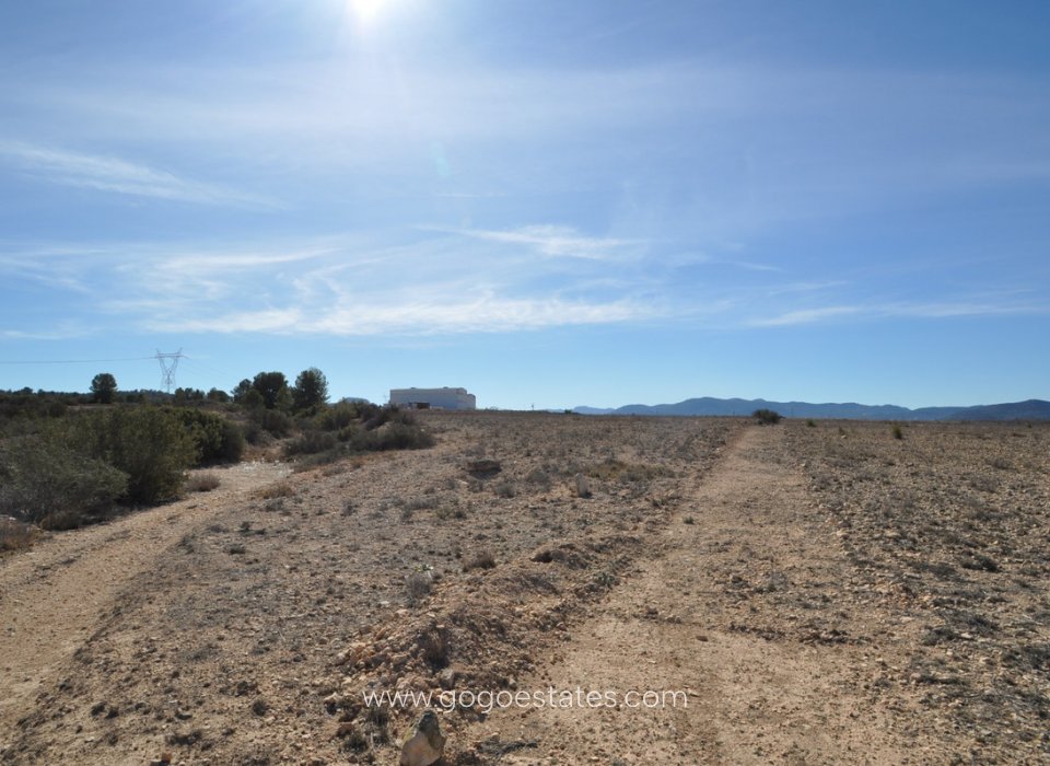 Venta - Parcela - Terreno - Monóvar - Monòver - Monóvar - Monòver Centro
