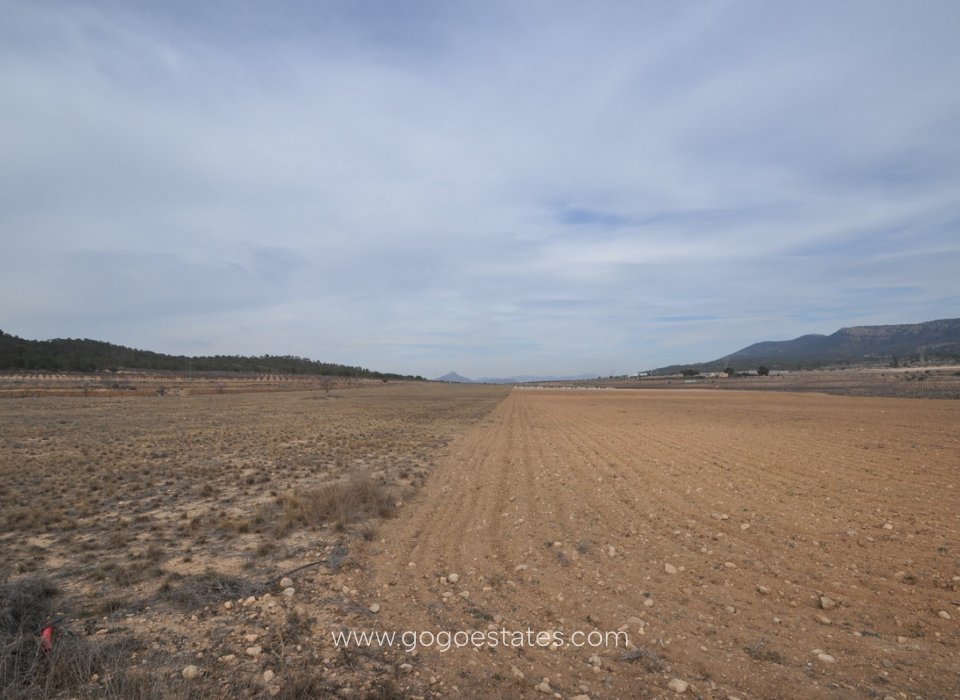 Venta - Parcela - Terreno - Monóvar - Monòver - Monóvar - Monòver Centro