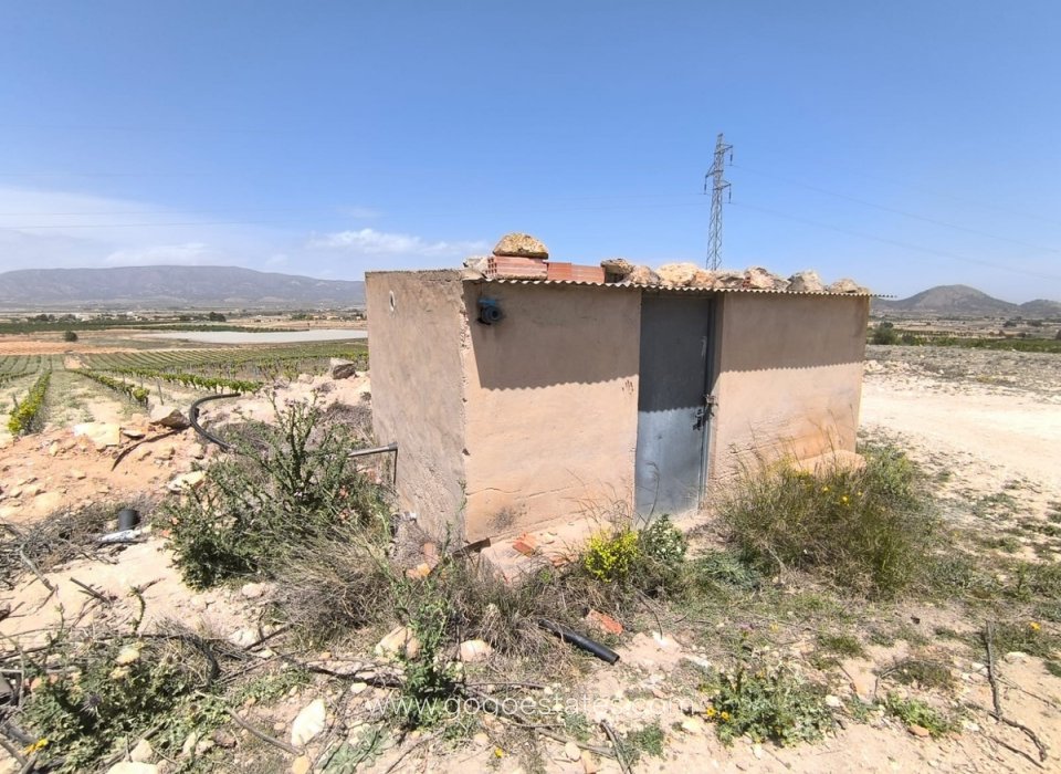 Venta - Parcela - Terreno - Monóvar - Monòver - Monóvar - Monòver Centro