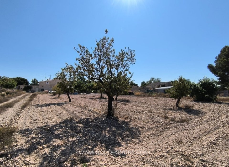 Venta - Parcela - Terreno - Monóvar - Monòver - Monóvar - Monòver Centro