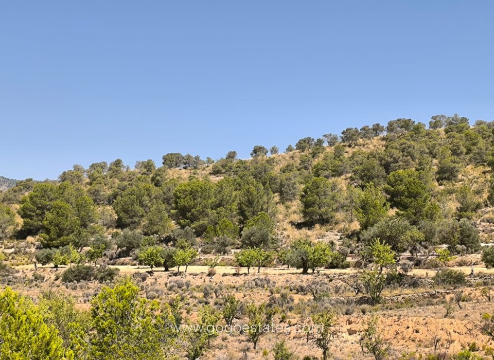 Venta - Parcela - Terreno - Monóvar - Monòver - Monóvar - Monòver Centro