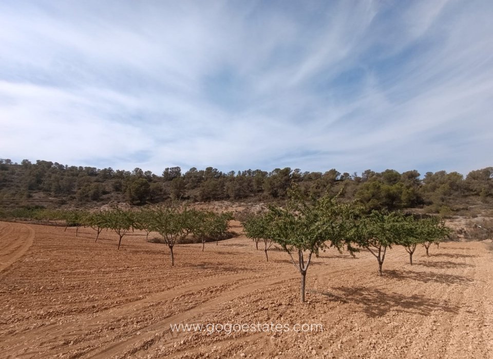 Venta - Parcela - Terreno - Murcia - Abanilla Centro