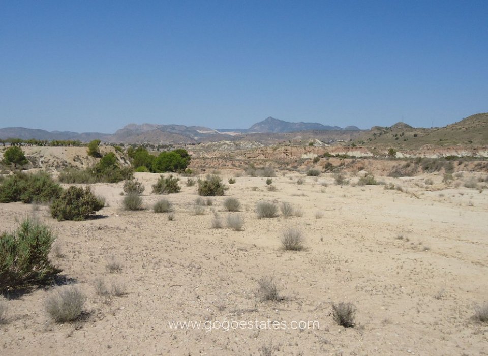 Venta - Parcela - Terreno - Murcia - Abanilla Centro