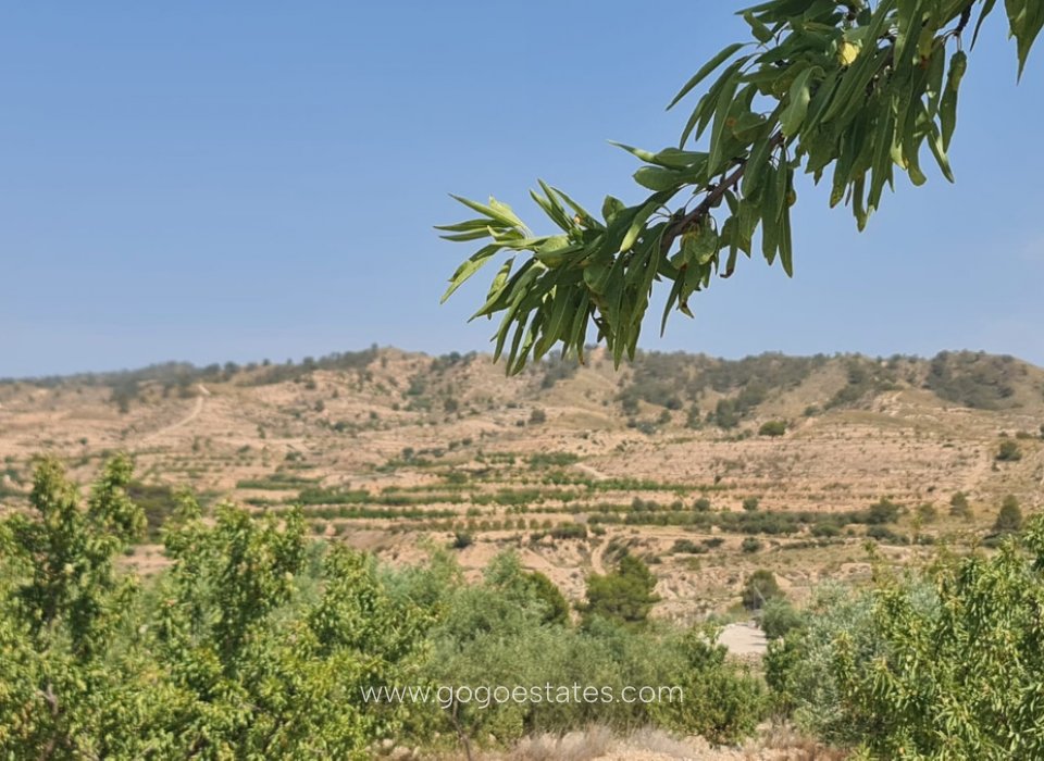Venta - Parcela - Terreno - Murcia - Abanilla Centro