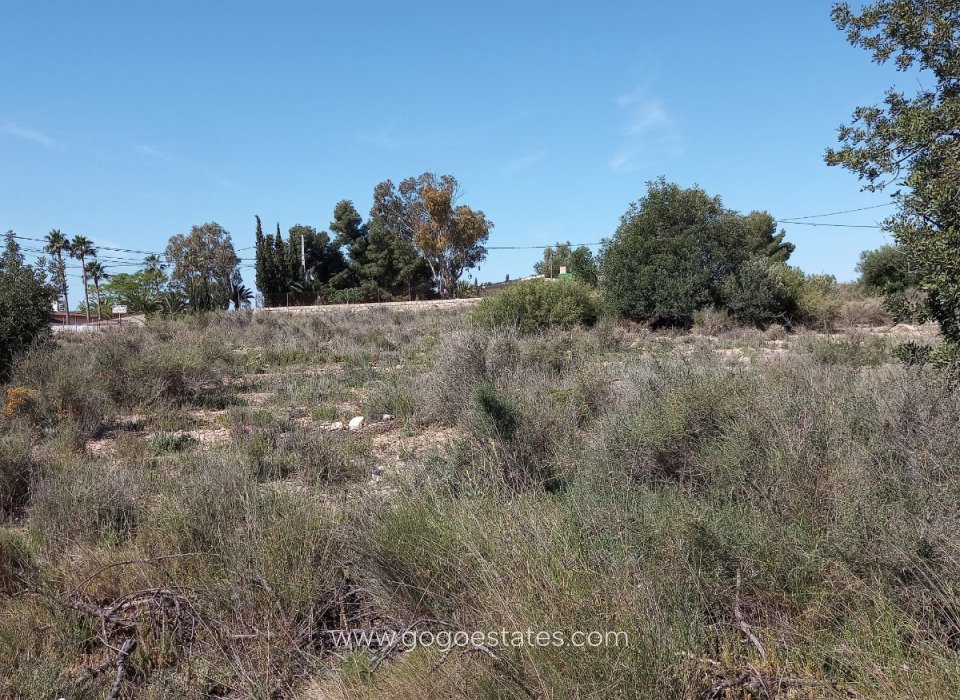 Venta - Parcela - Terreno - Novelda - Novelda Centro