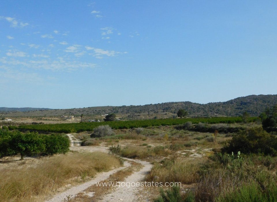 Venta - Parcela - Terreno - Orihuela - Torremendo