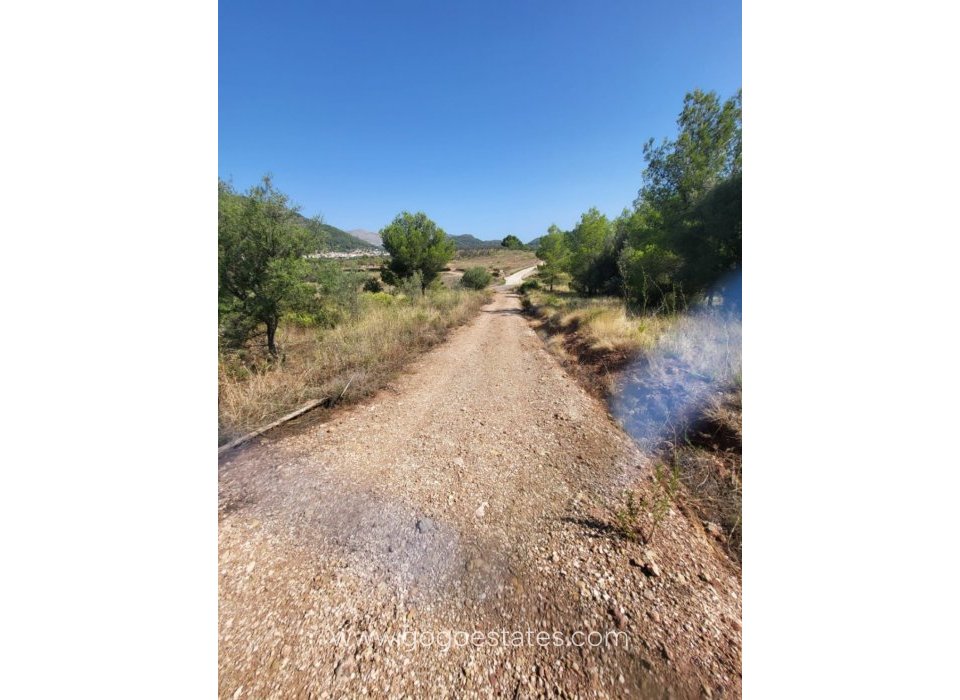 Venta - Parcela - Terreno - Parcent