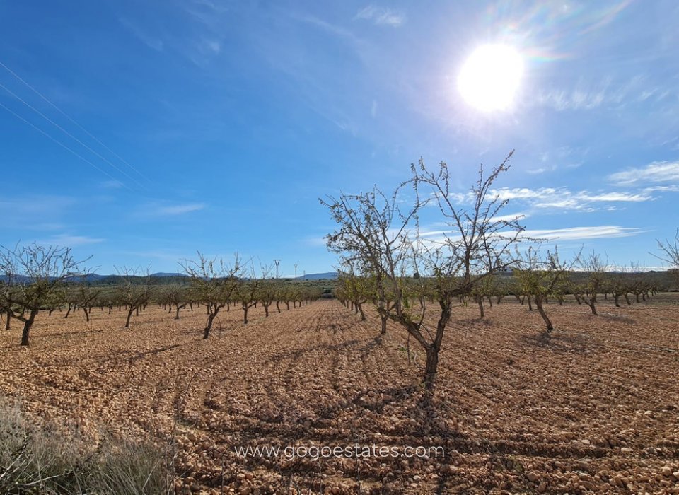 Venta - Parcela - Terreno - Pinoso - Aspe