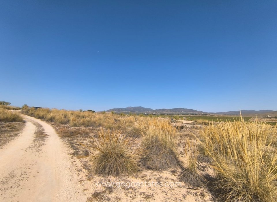 Venta - Parcela - Terreno - Pinoso - Aspe