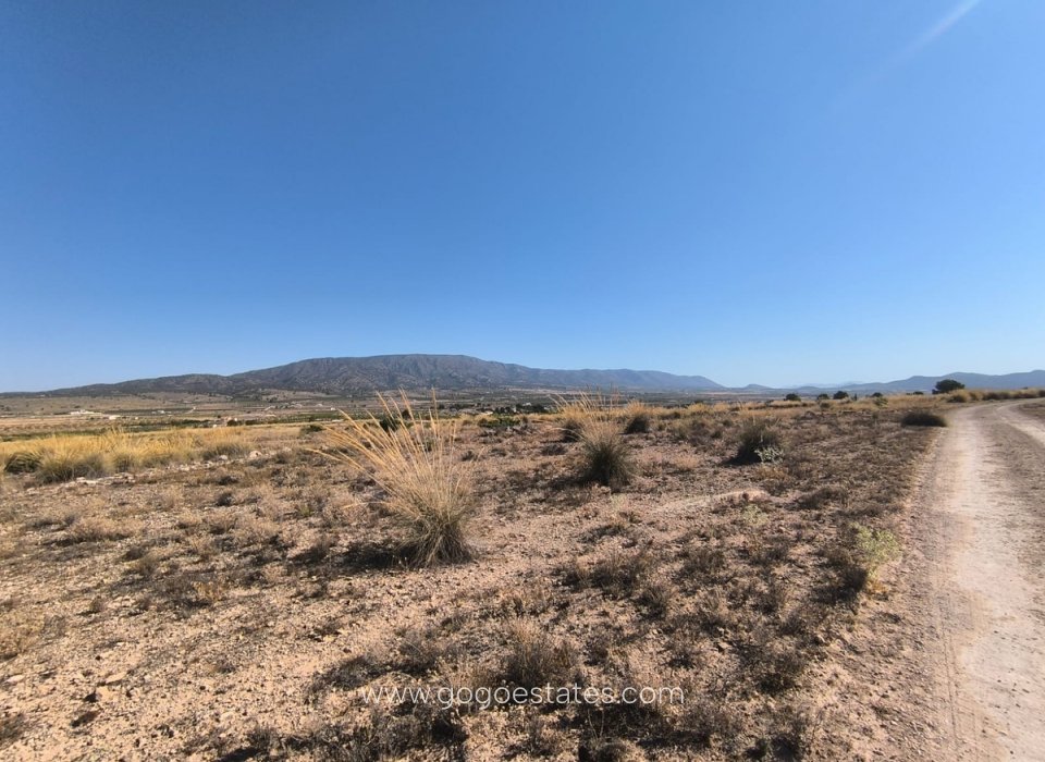 Venta - Parcela - Terreno - Pinoso - Aspe