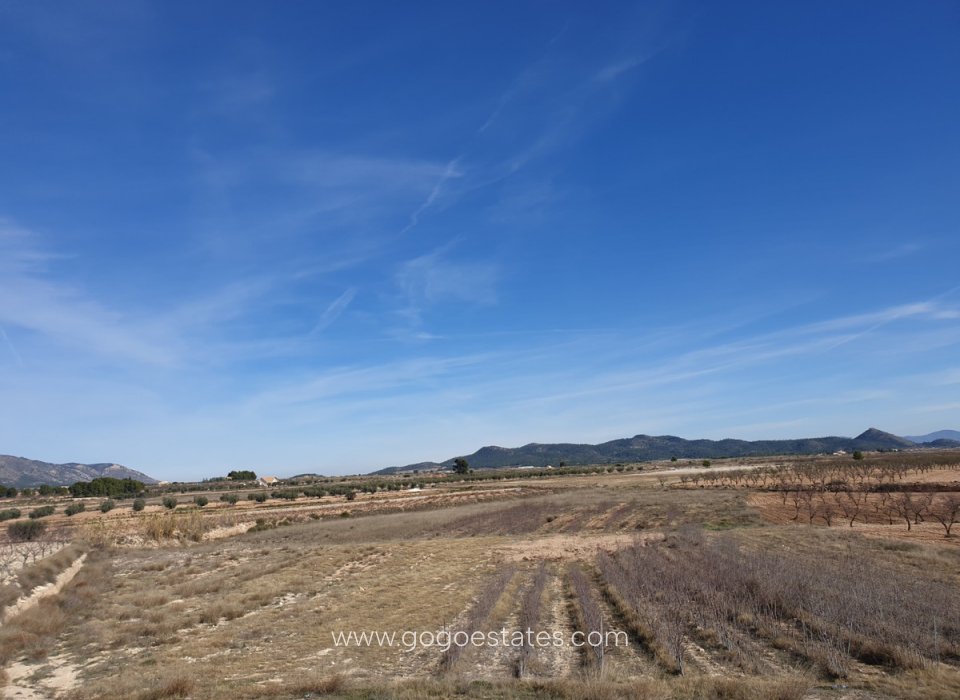 Venta - Parcela - Terreno - Pinoso - Pinoso Centro