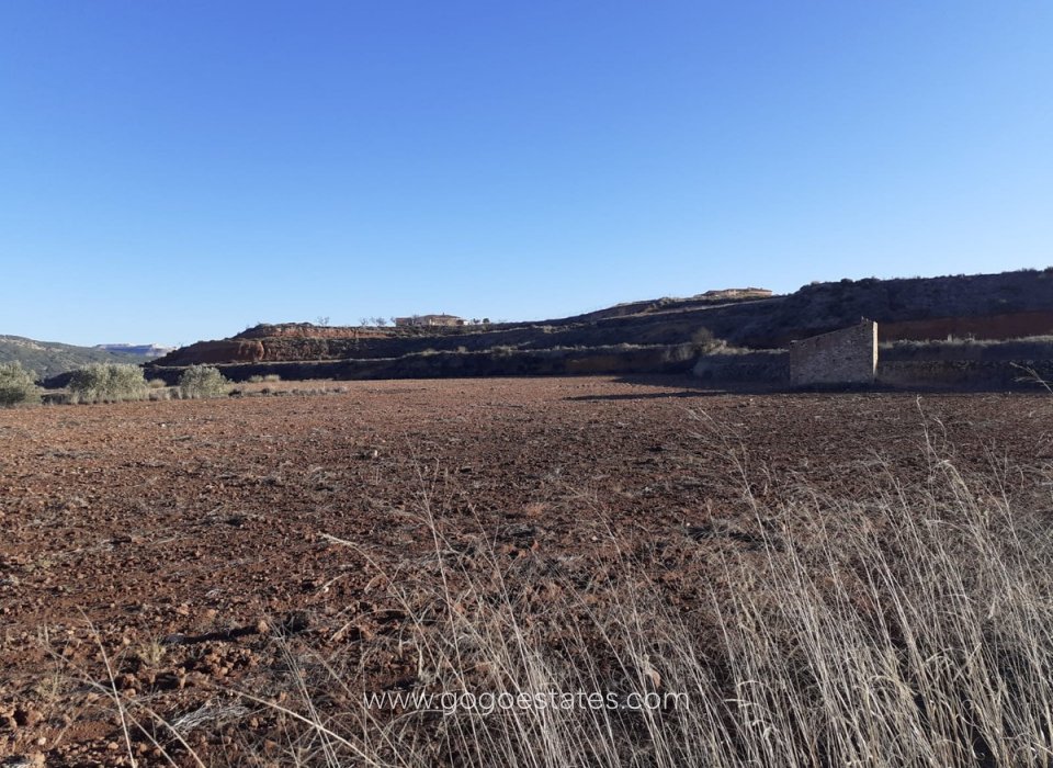 Venta - Parcela - Terreno - Pinoso - Pinoso Centro
