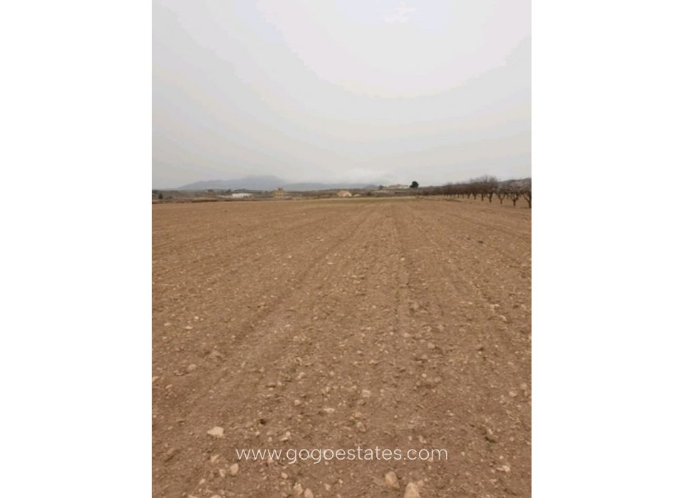 Venta - Parcela - Terreno - Pinoso - Pinoso Centro