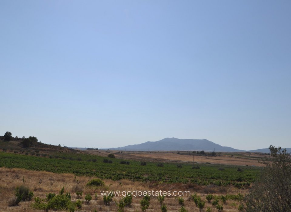 Venta - Parcela - Terreno - Pinoso - Pinoso Centro