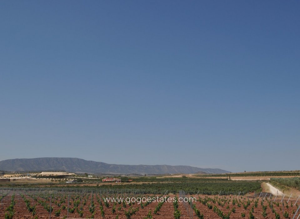 Venta - Parcela - Terreno - Pinoso - Pinoso Centro