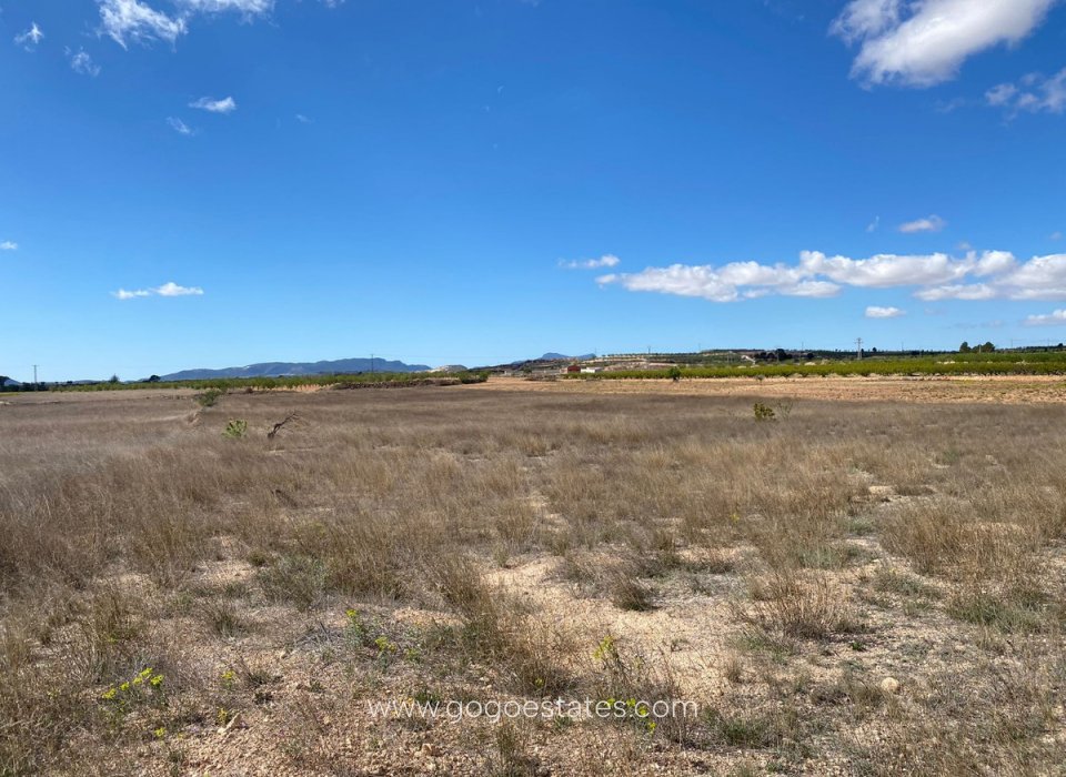 Venta - Parcela - Terreno - Pinoso - Pinoso Centro
