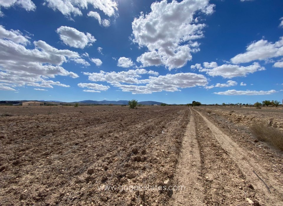 Venta - Parcela - Terreno - Pinoso - Pinoso Centro