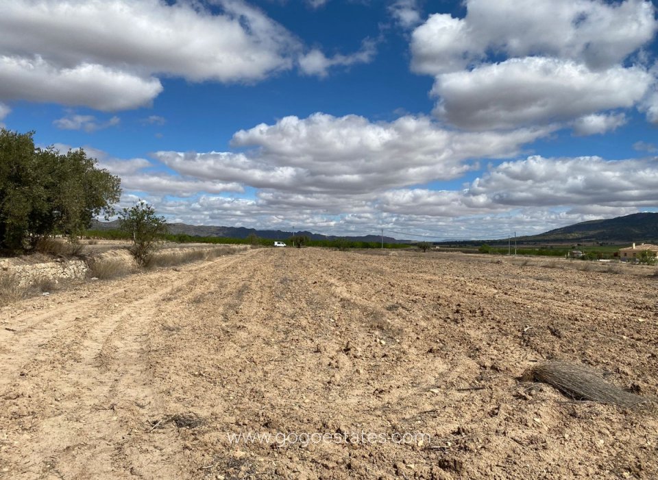 Venta - Parcela - Terreno - Pinoso - Pinoso Centro