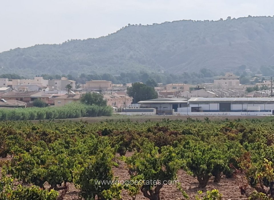 Venta - Parcela - Terreno - Pinoso - Pinoso Centro