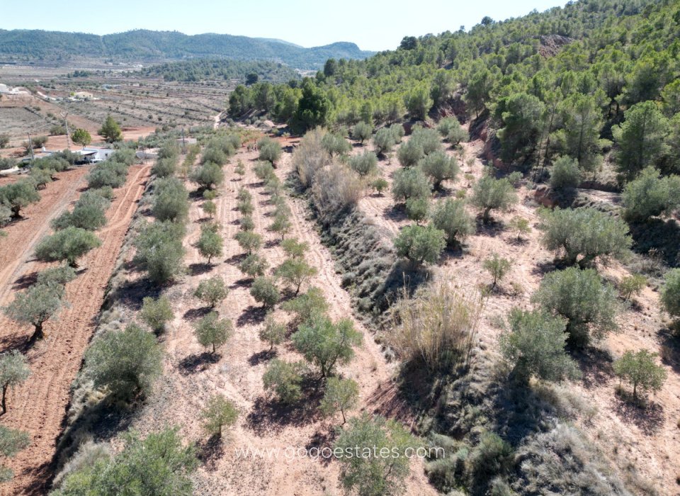 Venta - Parcela - Terreno - Pinoso - Pinoso Centro