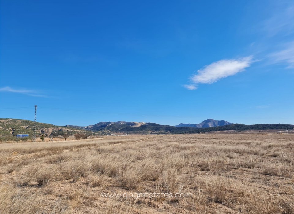 Venta - Parcela - Terreno - Pinoso - Pinoso Centro