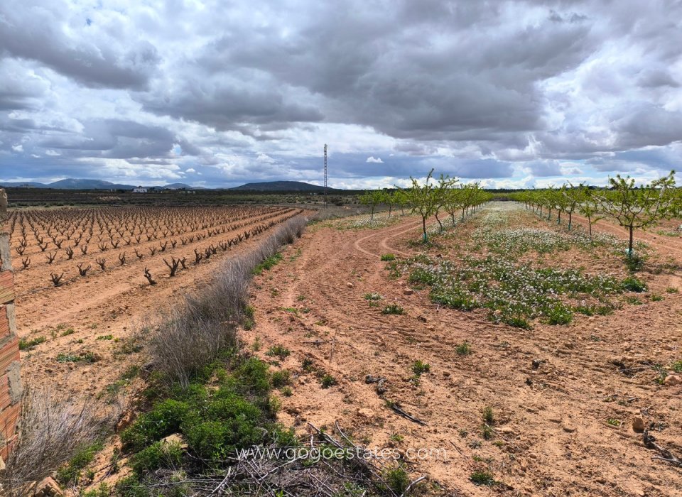 Venta - Parcela - Terreno - Pinoso - Pinoso Centro