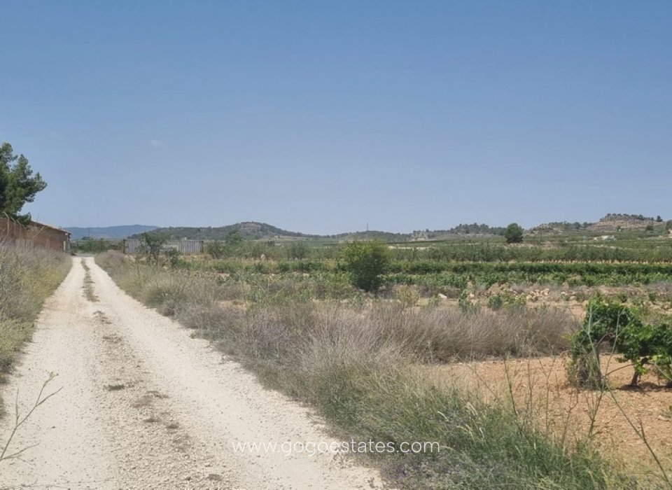 Venta - Parcela - Terreno - Pinoso - Pinoso Centro