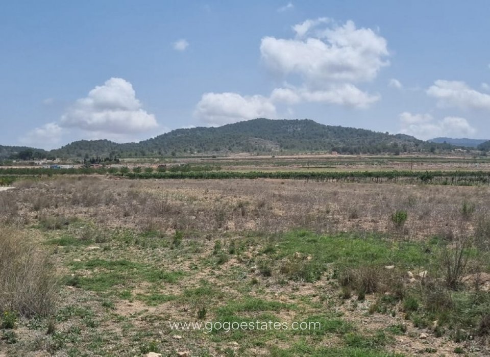 Venta - Parcela - Terreno - Pinoso - Pinoso Centro