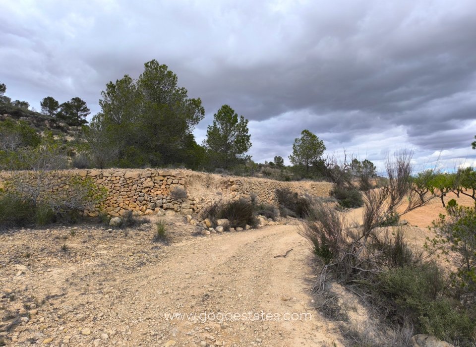 Venta - Parcela - Terreno - Pinoso - Pinoso Centro