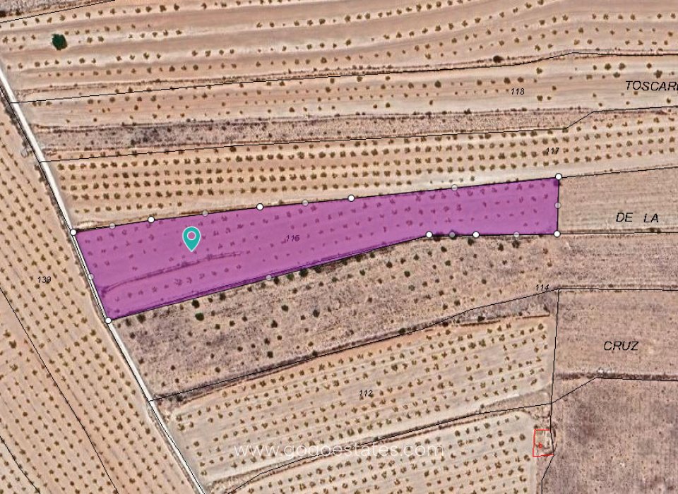 Venta - Parcela - Terreno - Pinoso - Pinoso Centro