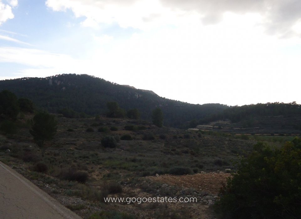 Venta - Parcela - Terreno - Pinoso - Pinoso Centro