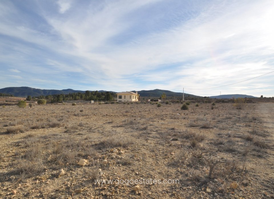 Venta - Parcela - Terreno - Pinoso - Pinoso Centro