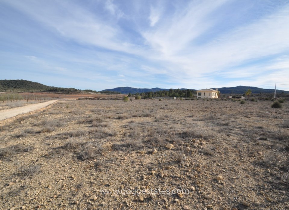 Venta - Parcela - Terreno - Pinoso - Pinoso Centro