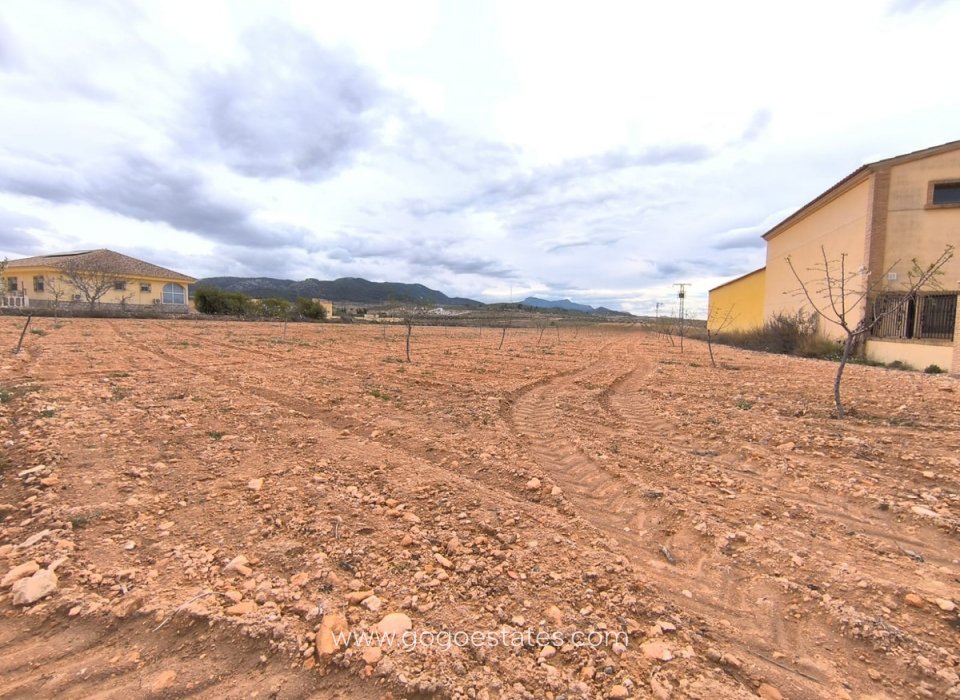 Venta - Parcela - Terreno - Pinoso - Pinoso Centro