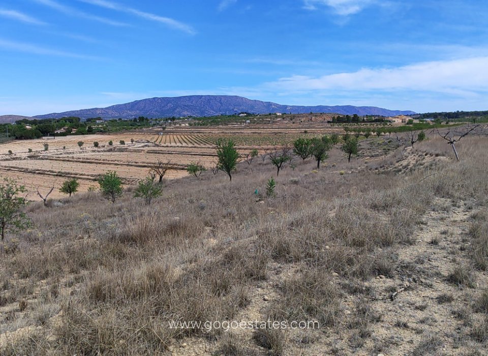 Venta - Parcela - Terreno - Pinoso - Pinoso Centro